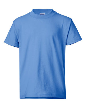 Hanes 5370 - Carolina Blue